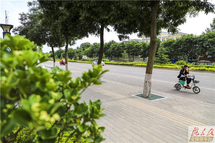 海绵建设路段仁杰路环境优美,运行畅通育才路育才路已