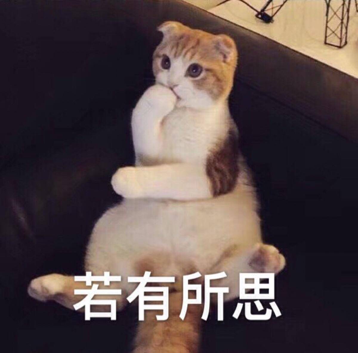 50岁王菲被小狼狗一把搂住,与谢霆锋的世纪复合再次告终?