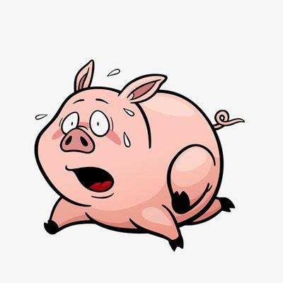 青年|在夜行的客车里玩了一回心跳