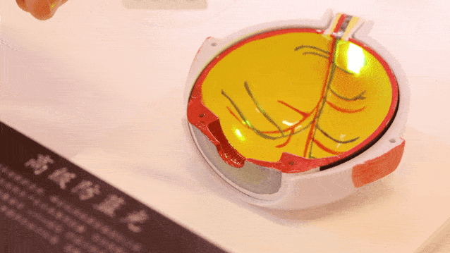 眼镜|EON视光时尚配镜，立即Call in！