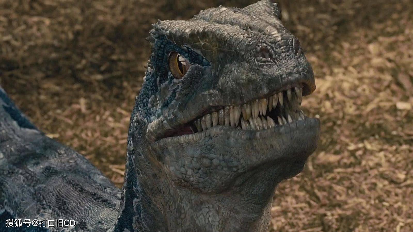 恐龙的戏份大涨！《侏罗纪世界3》中将会出现更多的恐龙画面！_科林·特雷沃罗