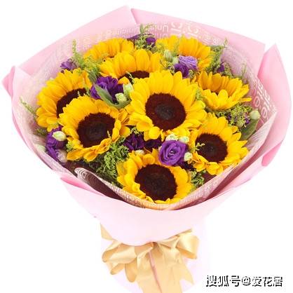 乔迁之喜送什么花?它是不乔迁之时不可错过的花