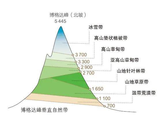 而天山就不同了,因为地处干旱的大陆腹地,这里的垂直自然带呈现出