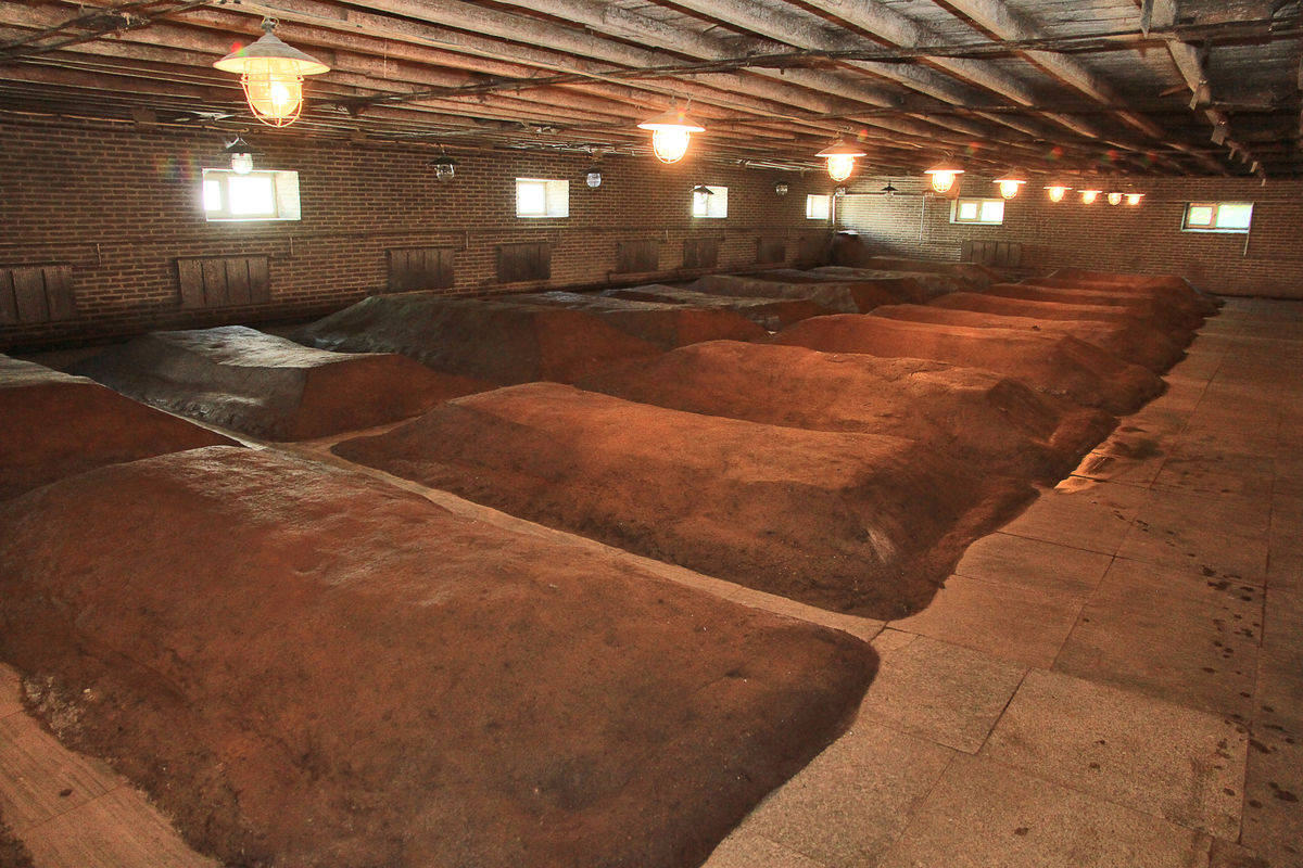 酿固态酒控制好温度，出酒率瞬间提高！