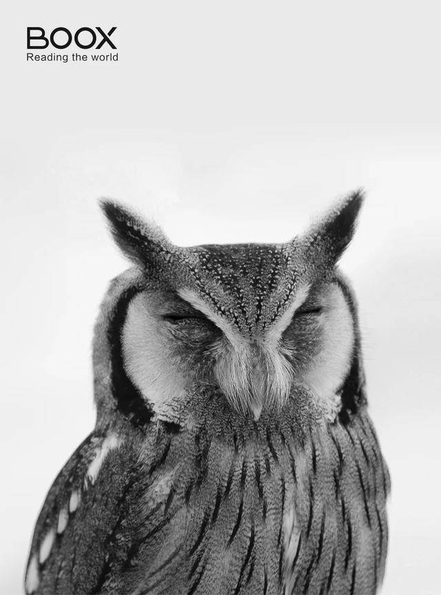 「美图收藏」一大波好看的BOOX电子书阅读器屏保来袭！分享你最喜欢的一张_小布