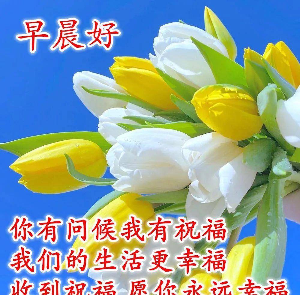 夏天直抵人心的早安图片,祝你周六愉快