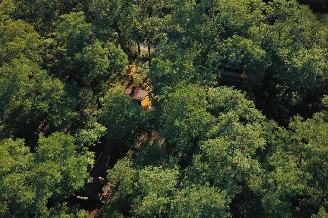 这座把童年幻想完美"复原"的树屋民宿,位于铜川的避暑胜地福地湖景区