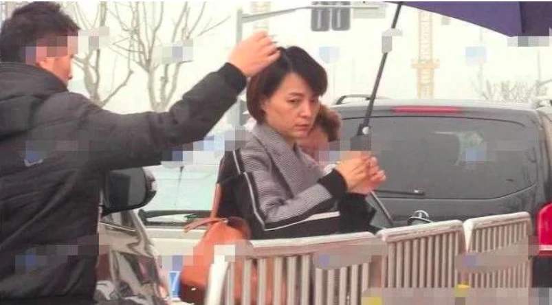 皱纹|董卿素颜的样子很普通，脸上也有了皱纹，但气质依旧高级！