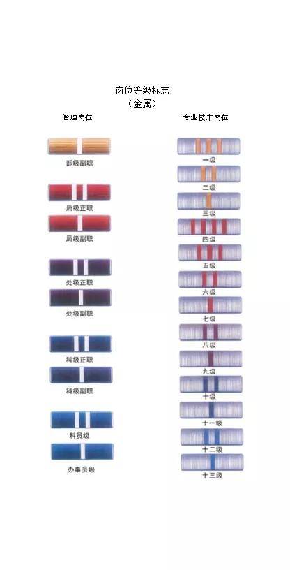 文职人员服装及岗位等级标志带给你不一样的感觉