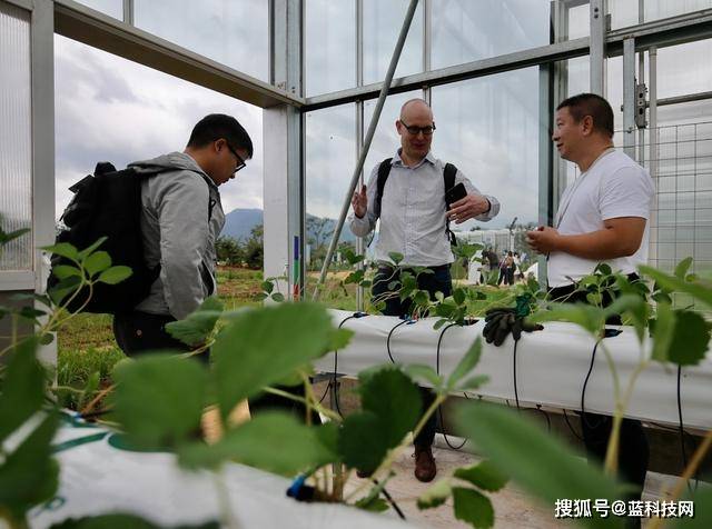 数字化|拼多多赋能数字化农业，他们还隐藏了多少黑科技？