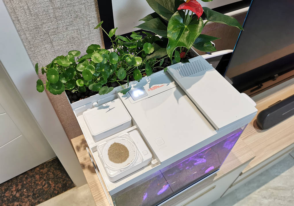 监测|哪种鱼缸更适合养鱼？画法几何AI智能鱼缸，水质监测还能自动喂食