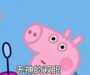 quiz|揭秘！当代留学生与网课的爱恨情仇。