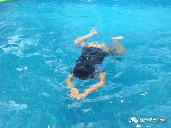 鲸鱼堡各门店暑期游泳训练班火热开启蛙泳提速小窍门来啦