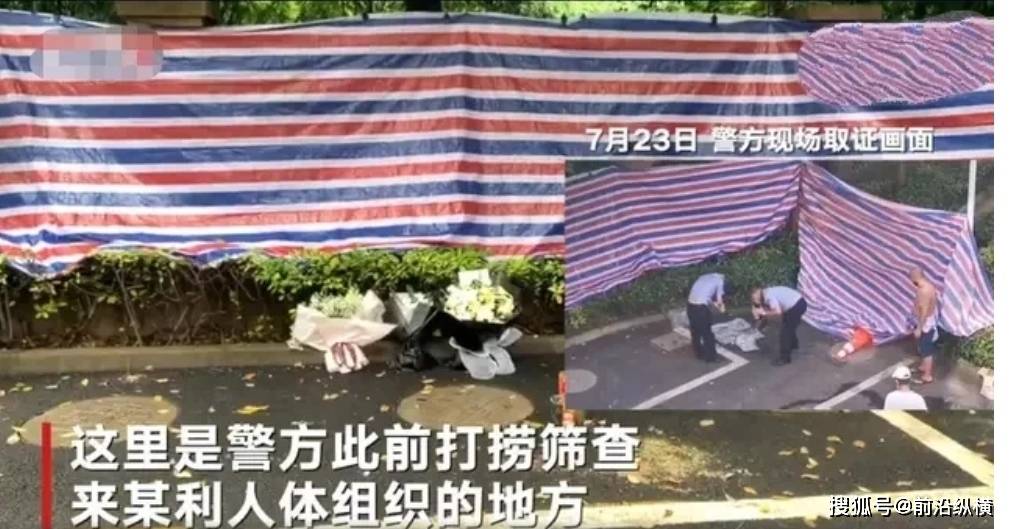 如今小女儿还在姐姐那里暂居,但是姐姐那里并没有明确表态要成为小