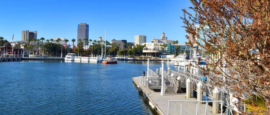 2020国内计算机系大_2020全国大学生计算机系统与程序设计竞大赛落幕,冠