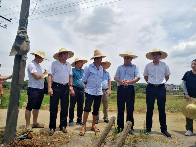 桂阳县有多少人口_一开口就证明你是桂阳人(2)