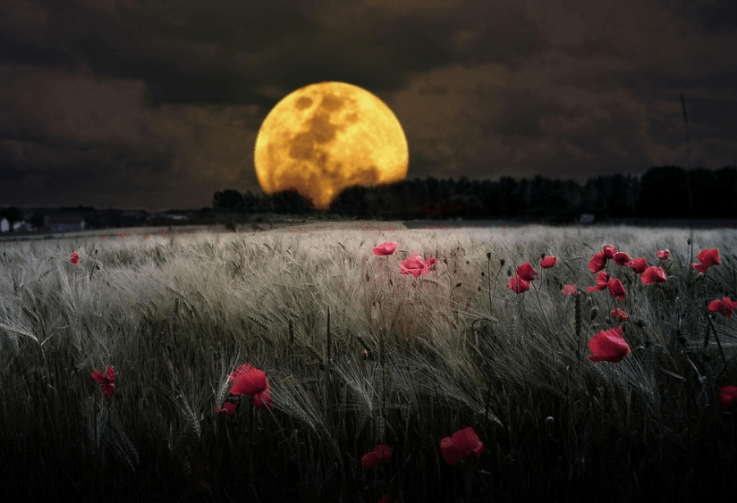 a56039c9fd3c4660a72f3e38a89921d0.png