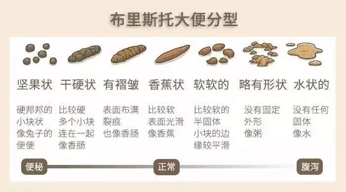 人体最佳的排便时间是什么时候?原来很多人都不知道