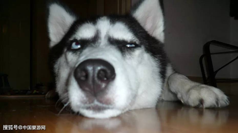 孩子|宝宝夜里不睡觉？一般都是这5个原因！