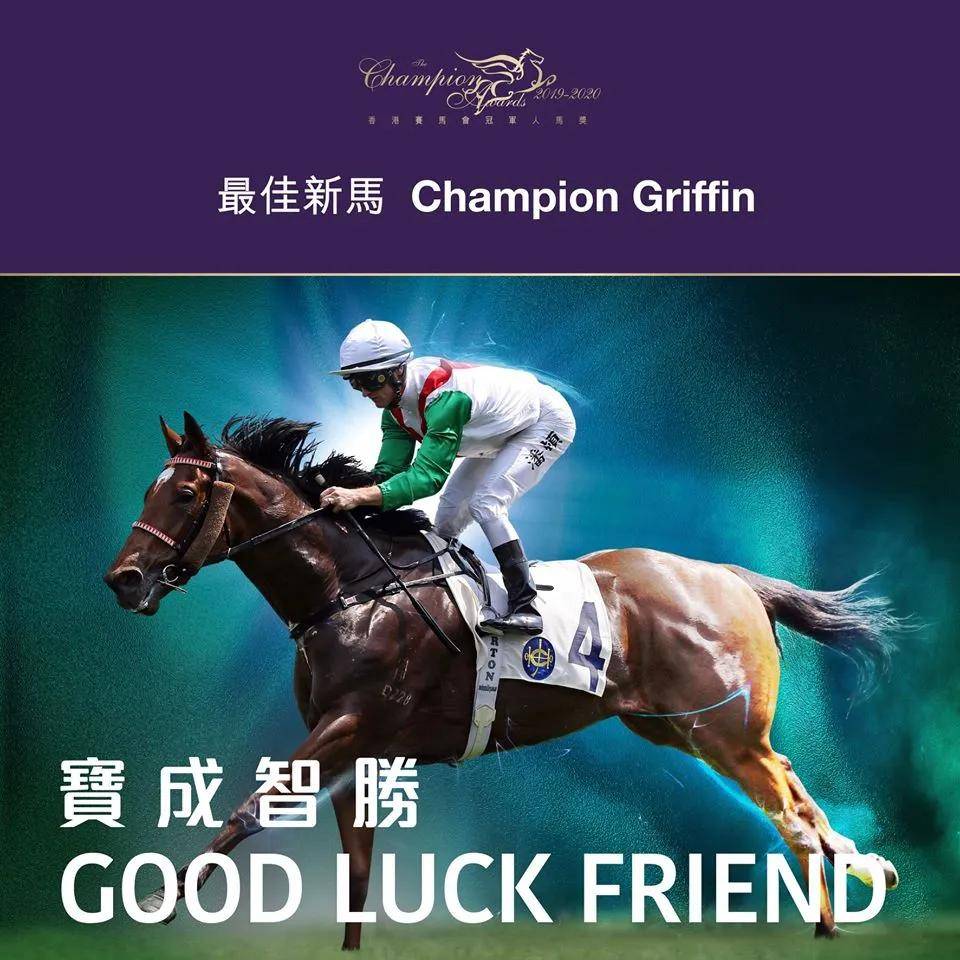 凡泰马术围栏：9万纽币购入！六战四胜“宝成智胜”获选香港赛马年度最佳新马_搜狐网