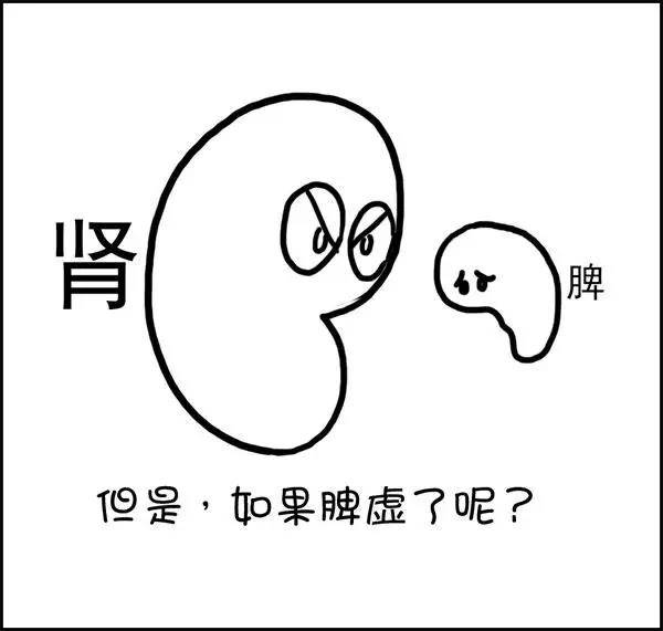 什么|湿气到底是什么？——长胖的罪魁祸首！！