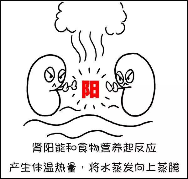 什么|湿气到底是什么？——长胖的罪魁祸首！！