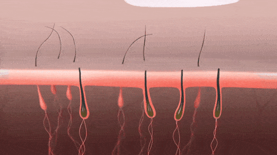 热巴|贵圈“好身材”图鉴:杨幂热巴用垫子,她直接填到臀爆炸