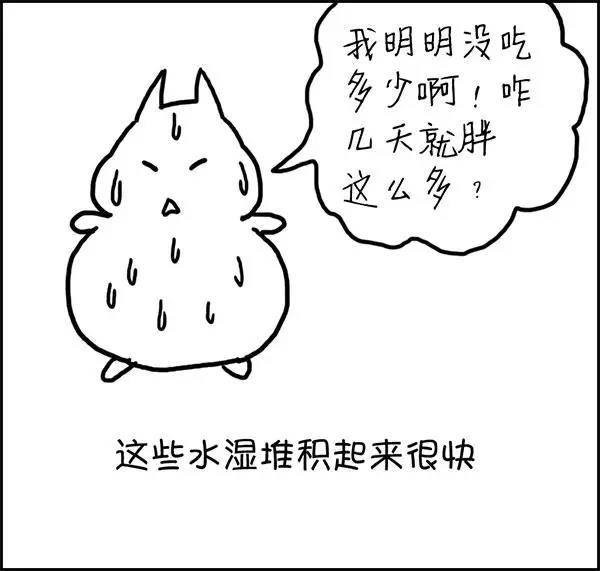 什么|湿气到底是什么？——长胖的罪魁祸首！！