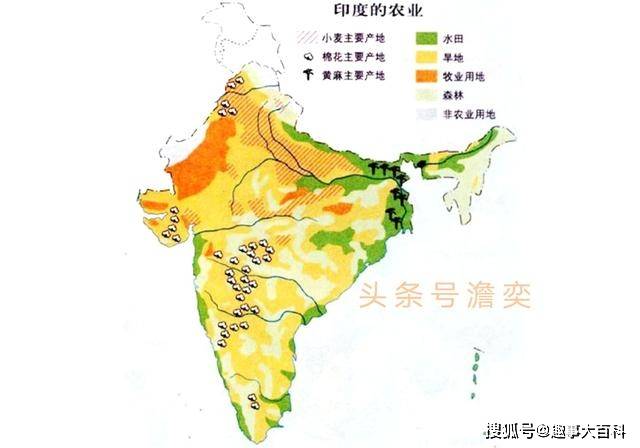 缺粮人口_非洲缺粮(2)