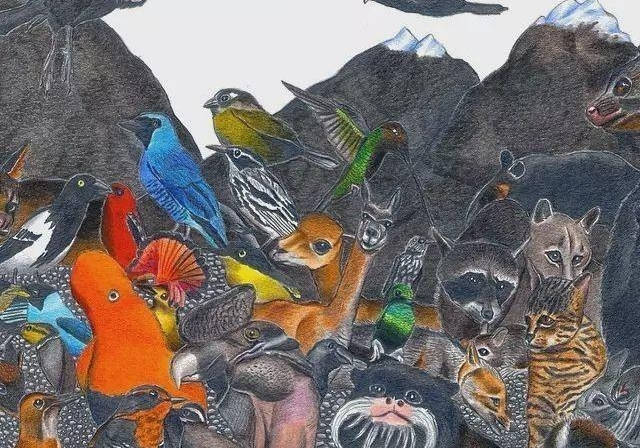 故事传记|3岁画画的自闭症天才，无需起稿画出400种动物，画出了另一个世界