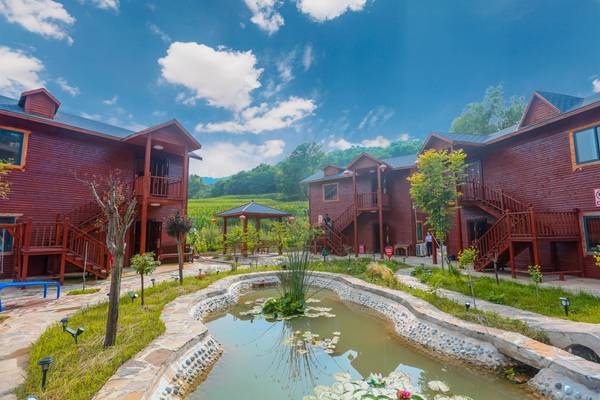 陕西旅游|避暑、游玩一个不能少 ，解锁铜川旅游免费景区新玩法！