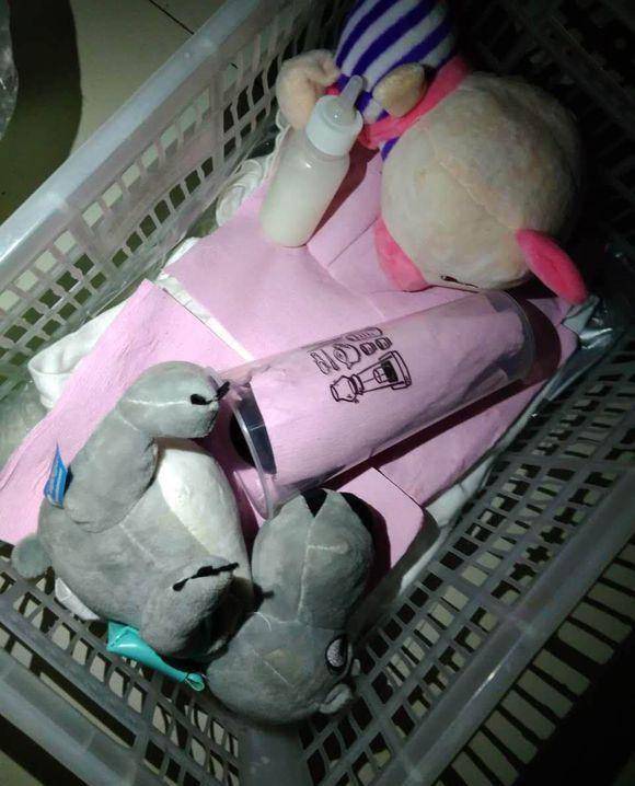 原创小奶狗刚出生就被遗弃,女孩把它装进奶茶杯带回家