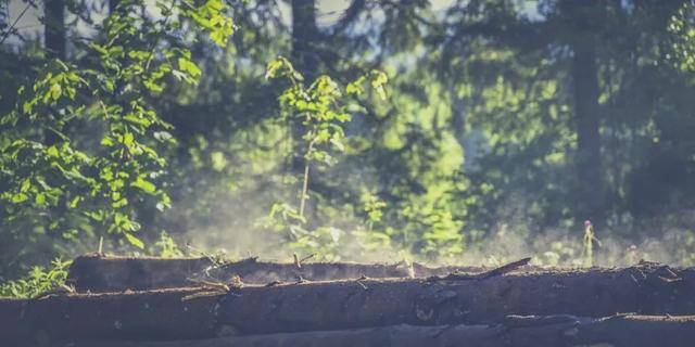 大学|到这几个城市上大学，其实不比北上广差！