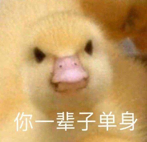 11648008de8d4576a9c8caa2d160632f.jpeg