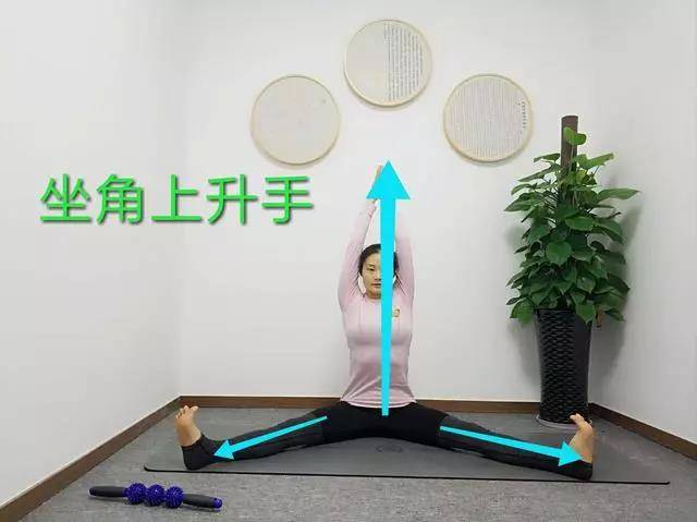 6ee359c9e160444fa630f7657cb497d6.jpeg