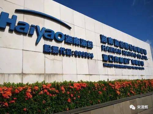 双高|存贷双高、销售费用高企，海南海药会是下一颗雷吗？宋清辉分析