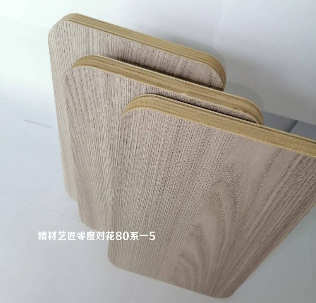 中国生态板十大品牌精材艺匠家装木板新品