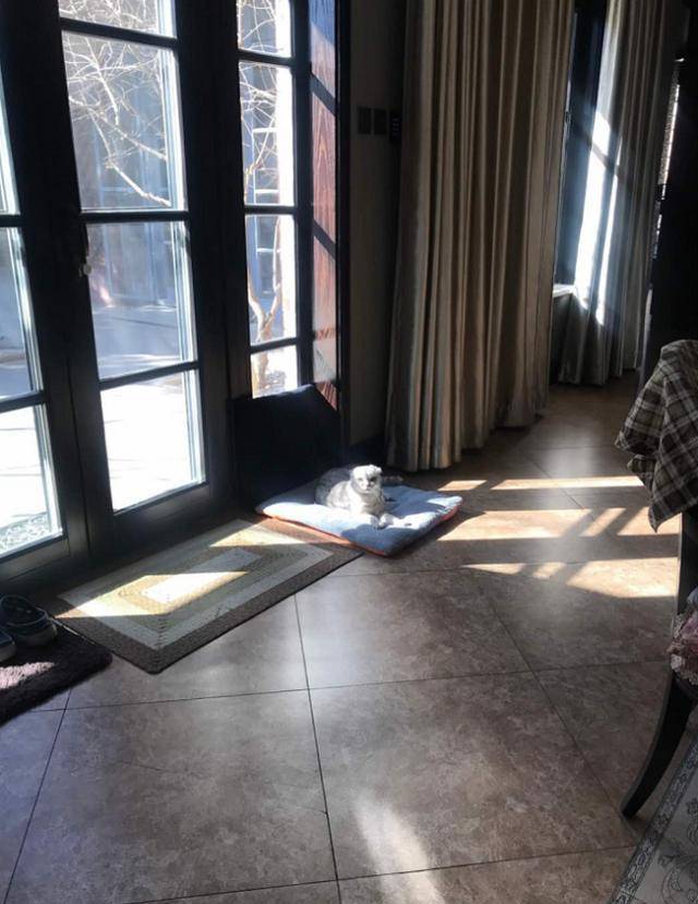 周扬青|FR2为周扬青打造专属“人物Tee”！罗志祥终究是高攀了