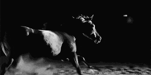 观点评论|张一鸣豪赌，字节将如何跳动？