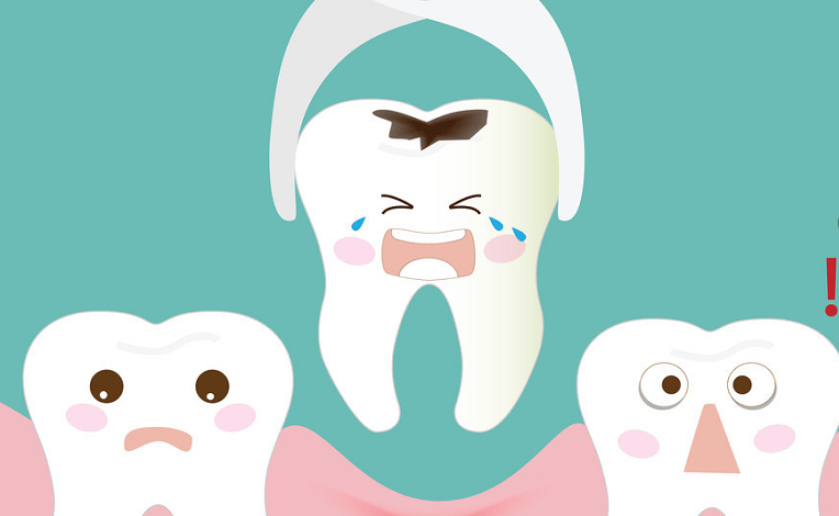 哪种动物一直在换牙