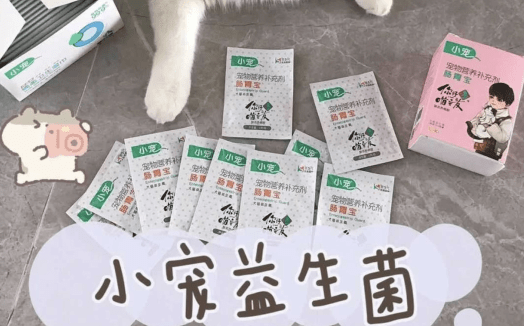 益生菌怎么喂猫吃 c606518756b948d79e9aab942222c1e7.png
