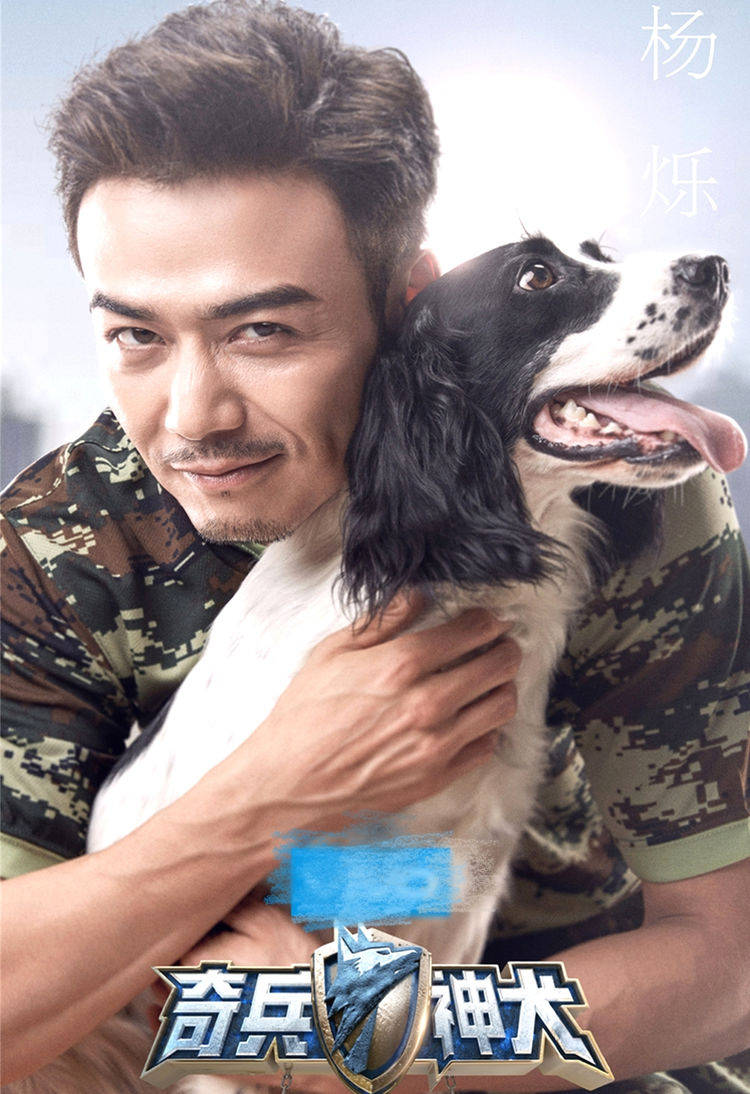 品牌|去年对杨烁来说算是满载而归，对关注杨烁的观众来说也是惊喜满满