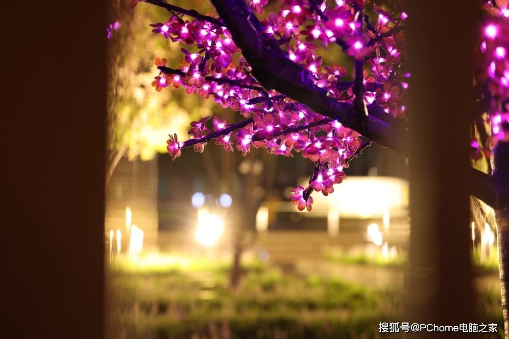 画幅|新一代全画幅专微旗舰 佳能EOS R5评测