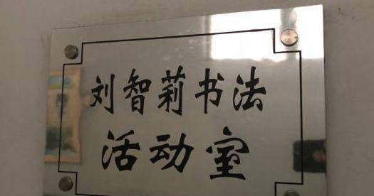 一个女农民书法家成书法老师,她的奉献精神到底给谁上了一课?_刘智莉