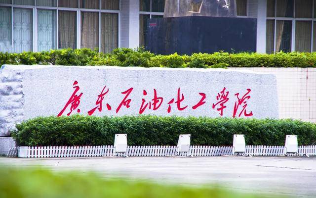 多多|快看!专插本最热门的大学!报考人数多多多!