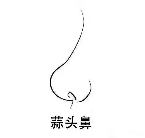 鼻尖|朝天鼻、蒜头鼻、鹰钩鼻不讨喜？一个好看的鼻尖是什么样的体验