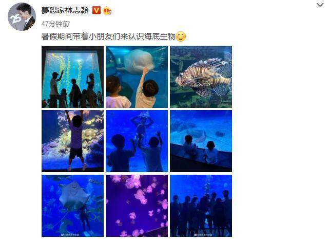 哥哥|双子星好激动，11岁黑米哥哥超爸爸肩膀林志颖带仨儿子逛海洋馆