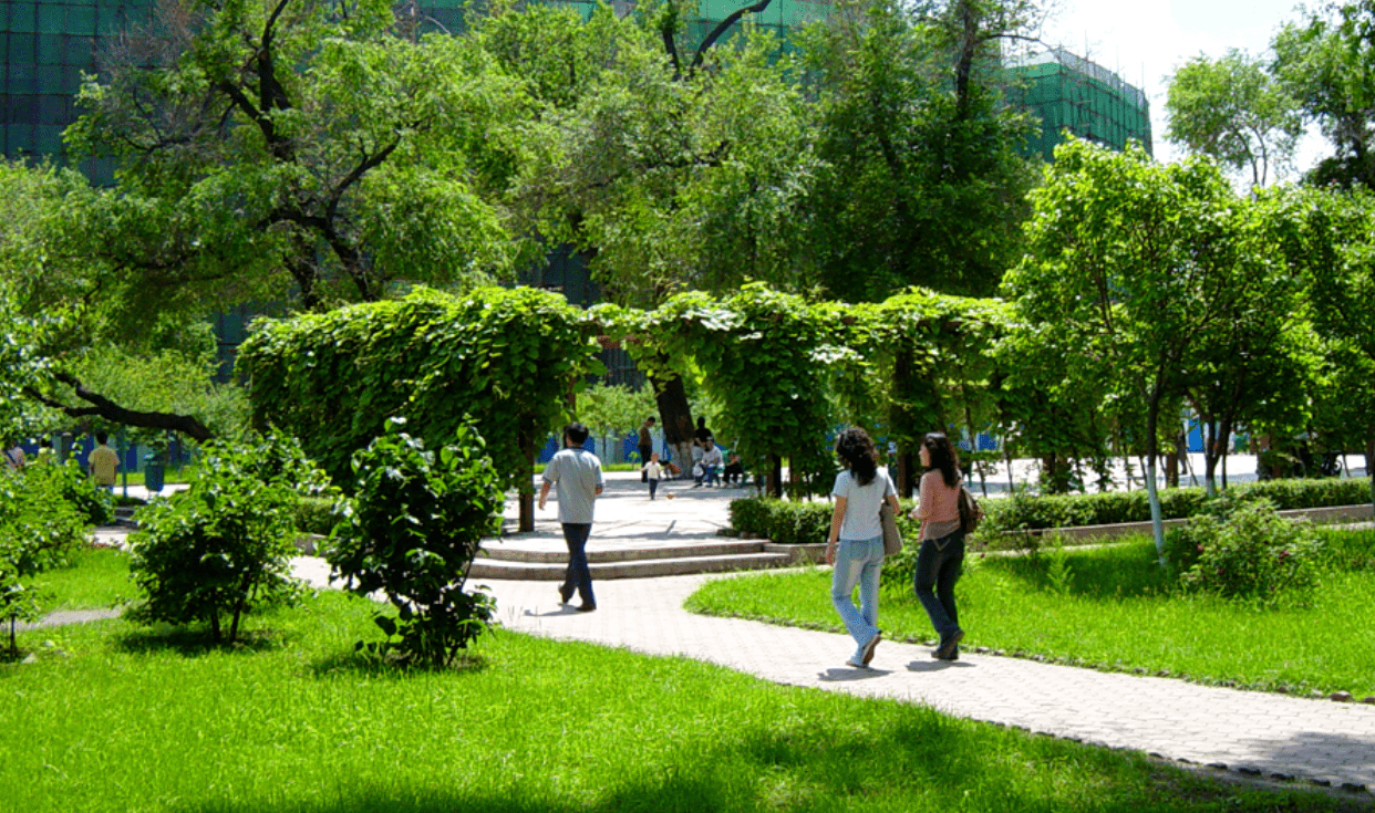 校区|这所知名985深圳校区录取线远超本部!网友建议:整体搬到深圳!