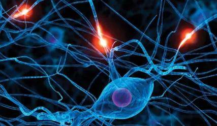 接口|阿里巴巴布局脑机接口，还要研究虚拟女友？