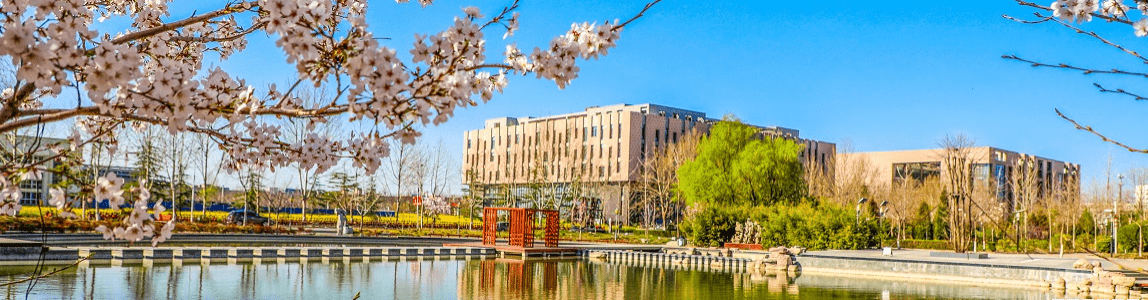 公费|计划2000多人，缺额776名，原因找到了！公费师范生遇冷